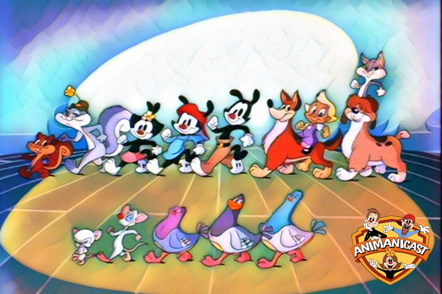 Animaniacs Cartoon Characters