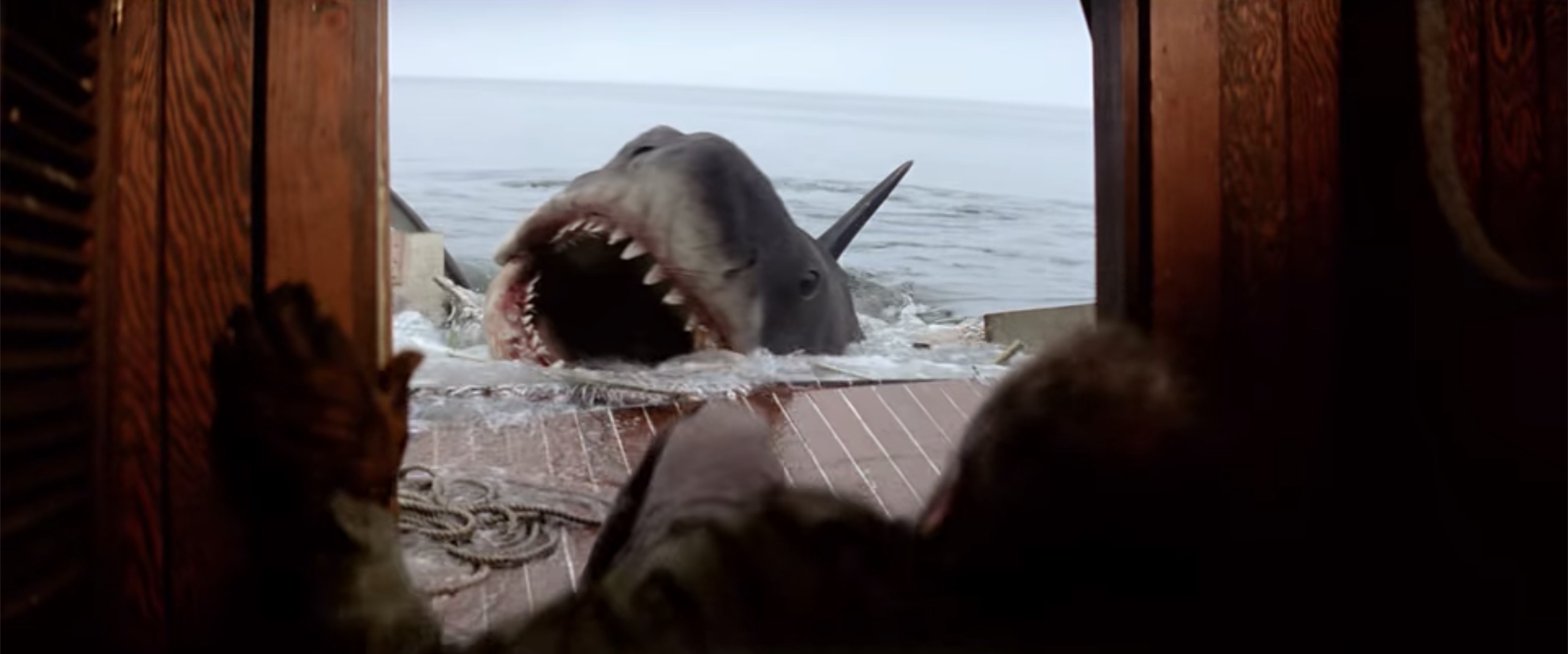 Cinemanalysis Jaws 1975 Cinemanalysis Jaws 1975
