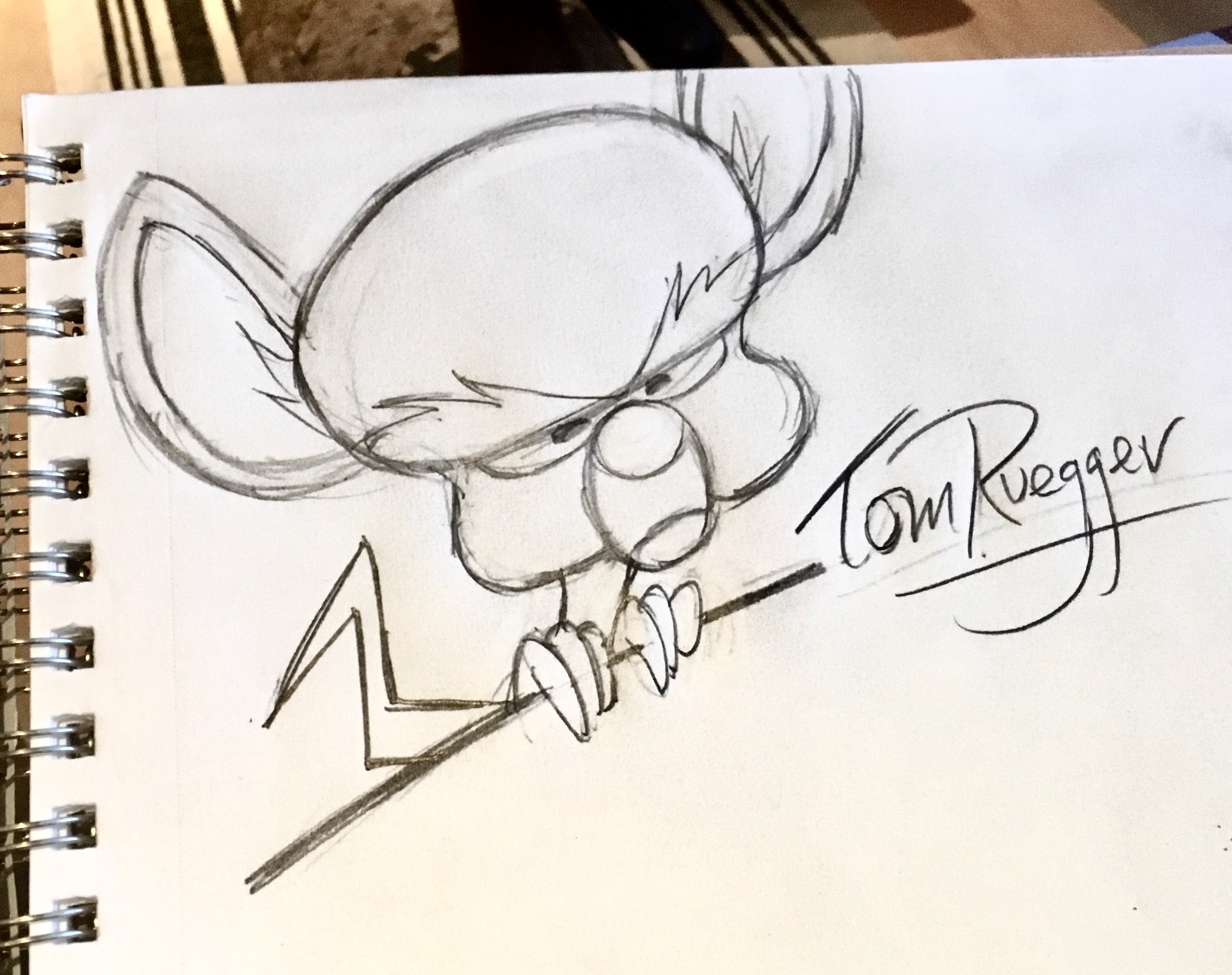 Tom Ruegger Sketch Brain