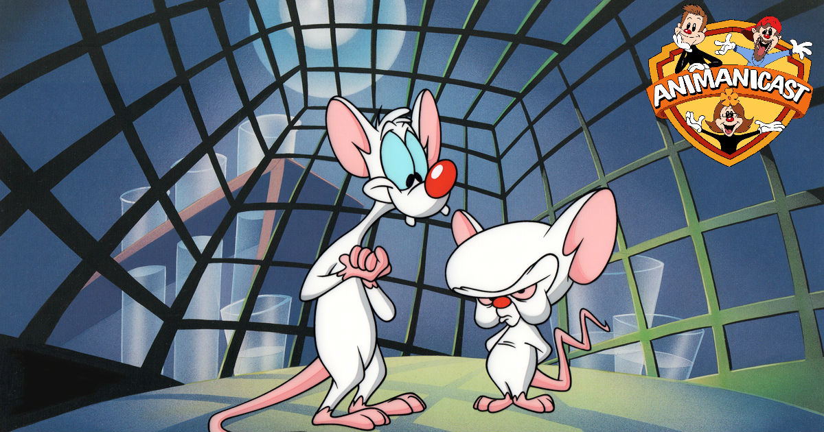 Pinky And The Brain : Pinky and the Brain Wallpaper (64+ images ...