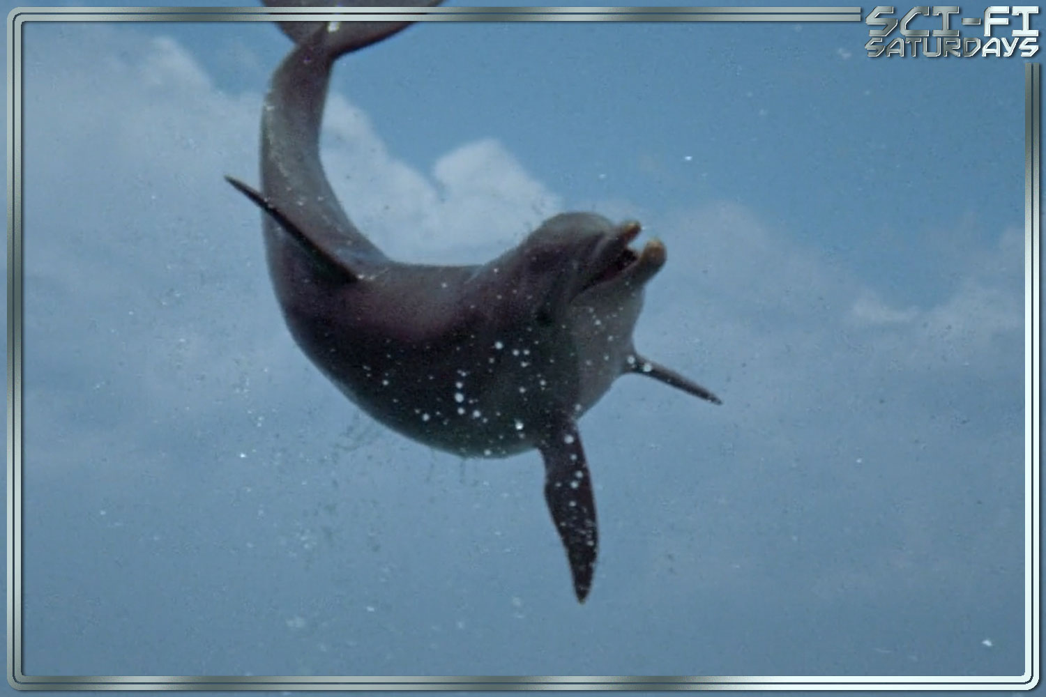 The Day of the Dolphin (1973) | Sci-Fi Saturdays | RetroZap