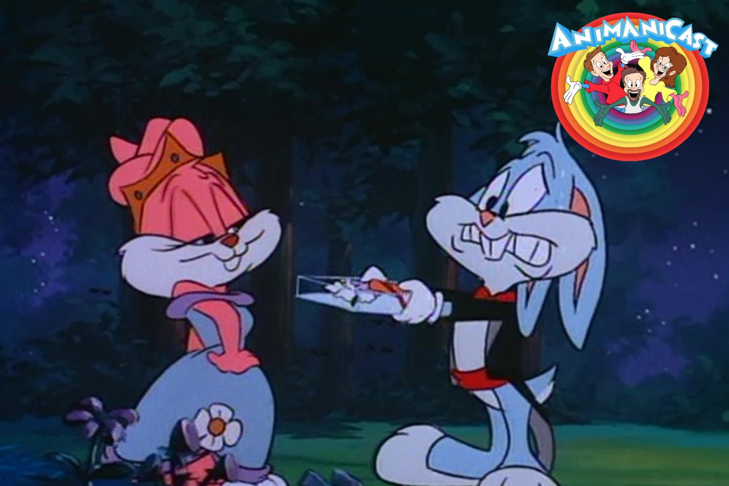 tiny toon adventures prom ise her anything tiny toon adventures prom ise her anything