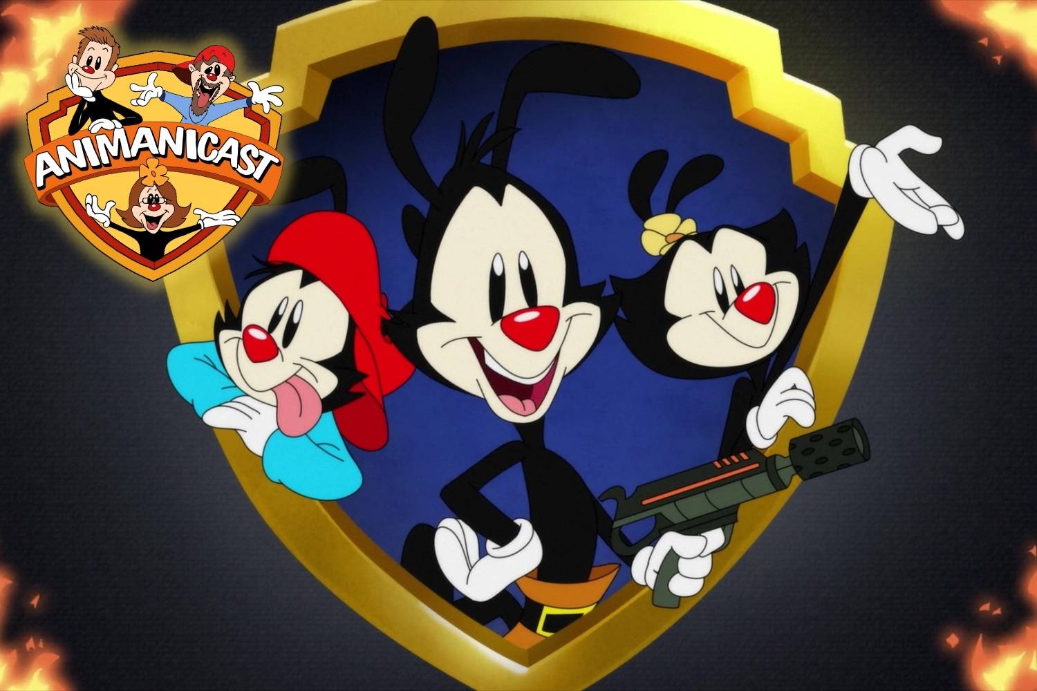 A Brief History of History Animaniacs Reboot Review