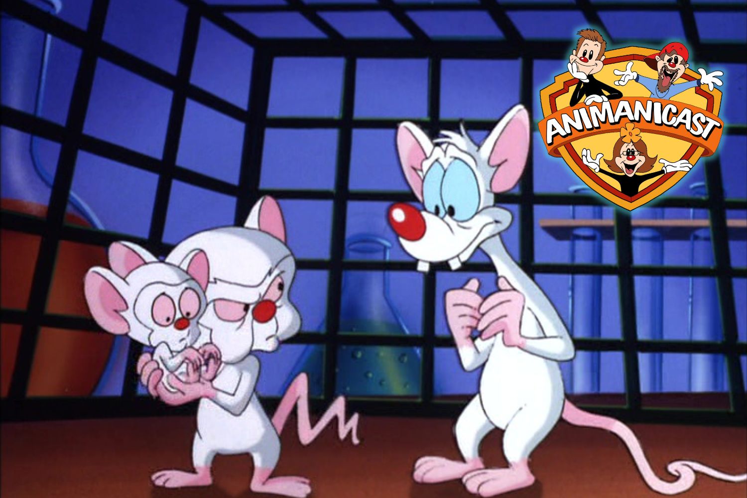 Animaniacs Best Of Pinky And The Brain ?? Classic Cartoon, 46 OFF